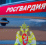 Столичные росгвардейцы задержали мужчину с крупной партией метилэфедрона (видео) - Росгвардия