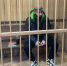 Забивший знакомую камнем в Москве мужчина получил 11 лет колонии - M24.Ru