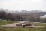 Фестиваль бега и полумарафон пройдут на Воробьевых горах 4 и 5 октября