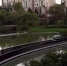 Ландшафтный парк появился возле набережной реки Сетунь в Москве - MSKNovosti.Ru