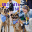 1-V5-A0808 - Solncewonews.ru
