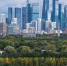 Институт Генплана Москвы организует научно-практическую конференцию по вопросам развития городов - Москомархитектура