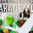 Сберфест в Академии: карьера в формате фестиваля - РАНХиГС