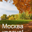 Фестиваль «Москва красна!» - Мой семейный центр