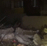 Пожар в жилом доме в Алчевске произошел после взрыва - M24.Ru