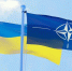 Рютте заявил, что ждет новые объявления стран НАТО о помощи Украине - M24.Ru