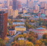Собянин: Социальные расходы в 2026 году составят половину городского бюджета - Обручевский меридиан