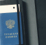 трудовая книжка - Государственная Дума