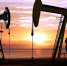 Reuters: индийские НПЗ впервые закупили нефть в Гайане - M24.Ru