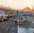 Три человека погибли в результате ДТП в Новгородской области - M24.Ru