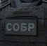 В Москве при содействии спецназа Росгвардии задержаны подозреваемые в организации незаконной миграции - Росгвардия