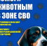 img - ЛДПР