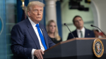 Трамп готовит наземные операции против наркокартелей в Латинской Америке