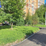 Территорию вдоль Заревого проезда в Северном Медведково благоустроили, фото - Мой район