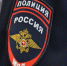В Петербурге 13-летний подросток задержан за попытку поджечь автомобили полиции - M24.Ru