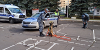 JPG Файл - УМВД по Москве 