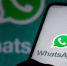WhatsApp добавит функцию поиска пользователей по никнейму - M24.Ru