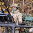ВС РФ освободили населенный пункт Новоуспеновское в Запорожской области - M24.Ru