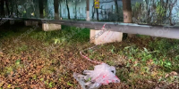 Дело возбуждено после взрыва, при котором пострадал ребенок в Красногорске - M24.Ru