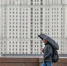 В Москве ожидается усиление ветра - Правительство Москвы