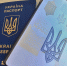 На Украине задумали лишить Миндича гражданства страны - ИА Общественная служба новостей