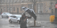 Сильный ветер повредил несколько деревьев в Москве 14 ноября - Комсомольская Правда