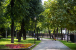 Два льва сбежали из реабилитационного центра в украинском Хмельницком
