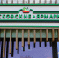Ярмарки выходного дня в СВАО предлагают соленые грузди, рыжики, маринованные опята - Звездный бульвар