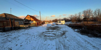 Домашняя овчарка напала на девочку в Хакасии - M24.Ru