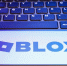 Проверку возраста по фото введут на онлайн-платформе Roblox - M24.Ru