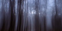 Спасатели обследовали еще одну пещеру под Красноярском в поисках Усольцевых - Вечерняя Москва