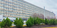 В Москве высадят 1,6 тысячи деревьев на Профсоюзной улице и проспекте 60-летия Октября - Московская перспектива