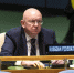 Небензя описал происходящее на Украине фразой из романа «Двенадцать стульев» - ИА Общественная служба новостей