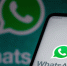 Разработчики WhatsApp представили обновленный раздел "Информация" - M24.Ru