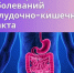С 24 по 30 ноября проходит Неделя профилактики заболеваний ЖКТ - Район Солнцево