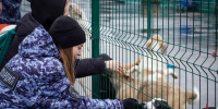Московские росгвардейцы организовали благотворительную акцию в приюте для животных (видео) - Росгвардия