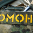 В Подмосковье проверили деятельность религиозной организации - Комсомольская Правда