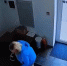 Яна Рудковская опубликовала видео, на котором фигуристку Костылеву бьет ее мать - M24.Ru