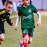 DpR0Gzy1uYrYvuns1vPIpWYo09AAjeF3aLhIpIwxS5-NmT1G-gdLZBD1v9gICvKO9vN4UCeJBNZfKQMQpLiemCvS.jpg - ФК Локомотив