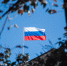 ВС России освободили запорожские Зеленый Гай и Доброполье - ИА Общественная служба новостей