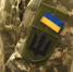 СБУ задержала британского инструктора, причастного к убийству Фарион и Парубия - M24.Ru