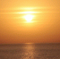 NYP: тела опытных моряков нашли на судне у Мадагаскара - ИА Общественная служба новостей