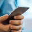 Депутат Свинцов ответил на вопрос о сроках блокировки Telegram - ИА Общественная служба новостей