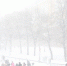 Синоптик Ильин: в Москве может похолодать до -15°C - ИА Общественная служба новостей