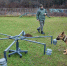 В зону СВО передали шесть служебных собак, в настоящее время готовят еще трех. Фото: Объединение культурных и досуговых центров Зеленоградского административного округа - Басманные вести