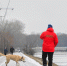 Городские службы перевели в режим повышенной готовности из-за ухудшения погоды - Вечерняя Москва