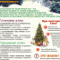 Новогодняя елка. Пожарная безопасность - Останкинский район СВАО Москвы