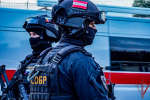 При поддержке спецназа Росгвардии задержан подозреваемый в ограблении