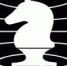 РФ приветствует решение в FIDE о полном допуске российских шахматистов - Песков - Моссовет