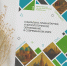Сборник «Социально‑гуманитарное и филологическое образование» вышел в свет - МГПУ